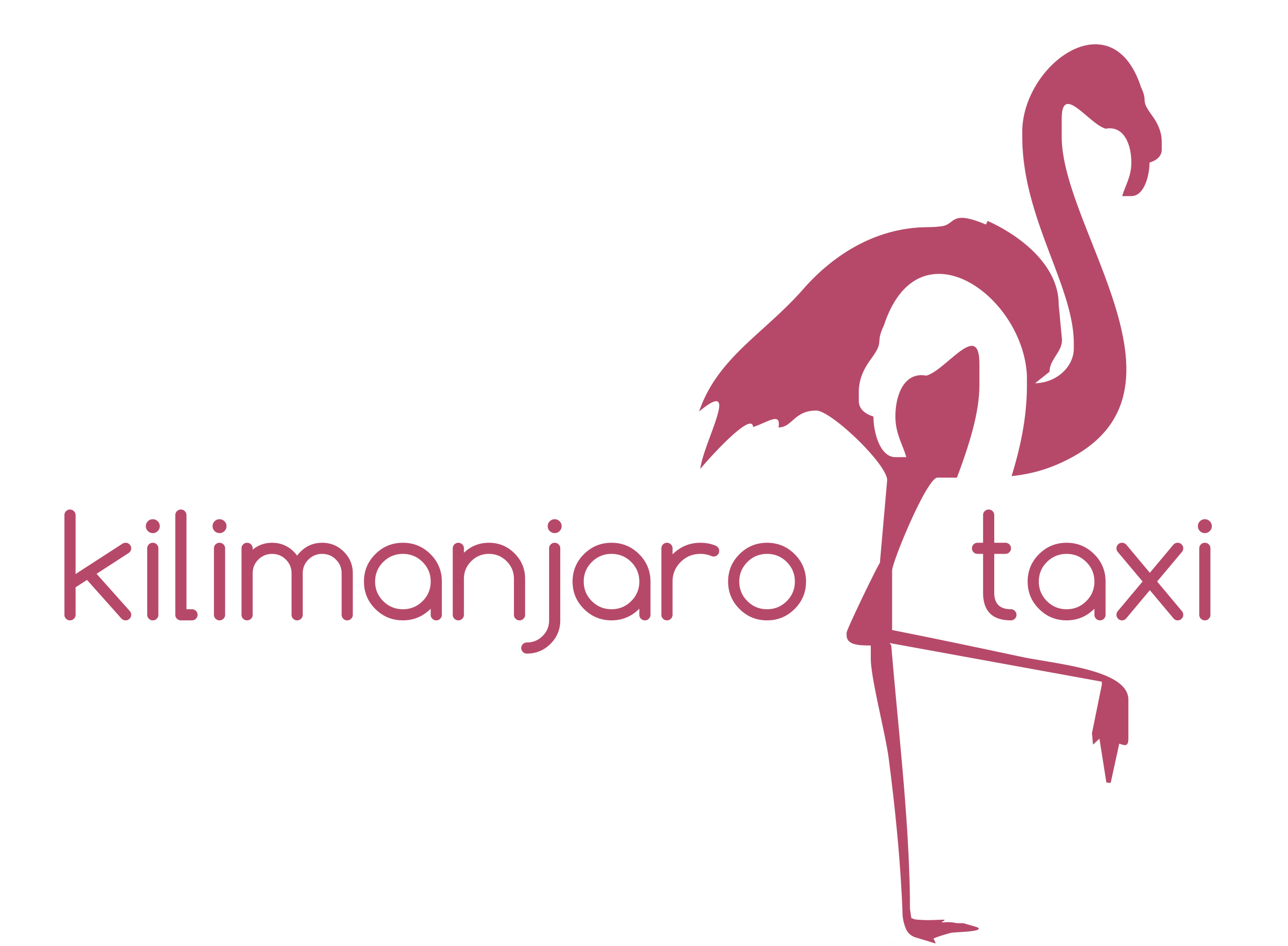 Kilimanjaro Taxi